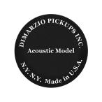 Acoustic/Acoustic Model DP130