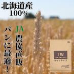 【国産小麦粉】北海道いわみざわ産小麦100% パンやお菓子作りに最適 キタノカオリ小麦粉（強力粉） 5kg 1,580円