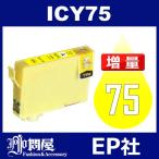 EPSON ICY75