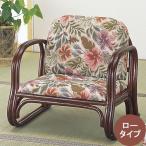 籐椅子 籐の椅子 座椅子 ラタン 椅子 ロータイプ 座面高23cm IMS123 今枝商店