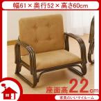 籐椅子 籐の椅子 座椅子 ラタン 椅子 ワイド ロータイプ 座面高22cm IMS221B 今枝商店