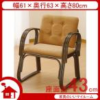 籐椅子 籐の椅子 座椅子 ラタン 椅子 ワイド ハイタイプ 座面高43cm IMS223B 今枝商店