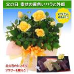 【父の日ギフト】幸せの黄色いバラ鉢植えと外郎（和菓子）セット (su)
