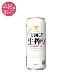 【2ケースパック】北海道生搾り (発泡酒）／サッポロ 500ml×48缶  500ML*48ホン 1セット