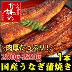 商品画像：メガサイズの国産うなぎ蒲焼き 200g×1本(鰻 ウナギ)