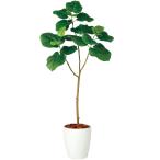 NEWウンベラータ・人工観葉植物・全高1.2m・ホワイト鉢仕様（人工樹木/フェイクグリーン/造花）