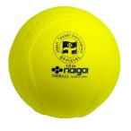 ナイガイ(NAIGAI)ティボール用ボール ナイガイライトボール 12インチ イエロー LTS12Y 6個セット