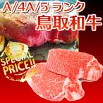 お歳暮ギフト 鳥取和牛 オレイン55 鳥取県産 国産黒毛和牛肉 最高級 ヒレステーキブロック 1kg 送料無料