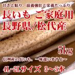 長芋 ご家庭用 3〜5本 4L-2L 5kg 粘りと味が一味違う長野県産です
