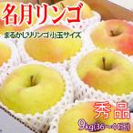 名月りんご 長野県産 9kg 秀品36-44玉 送料無料 -順次発送中-