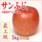 サンふじ お歳暮 信州りんご 最上級5キロ 8-10玉