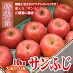サンふじ 長野りんご 10kg  特秀大玉 22-24玉 フルーツギフト