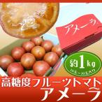 静岡県産"高糖度フルーツトマト　アメーラ"　　約1ｋｇ 10～20個前後　化粧箱入り
