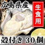 「広島県産かき 生食用 B11タイプ 殻付かき 30個」広島牡蠣 産地直送