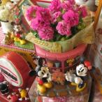 敬老の日　ディズニー　フラワーギフト　鉢植え　　ミニー　フラワーショッププランター＆季節のお花