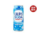 【2ケースセット】カルピス カルピスソーダ 490ml缶×24本入×(2ケース)