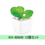 Kishima/キシマ 【12個セット】KH-60840 サキュレント プランツ 消臭アーティフィシャルグリーン S (A type)