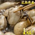（かき カキ 牡蠣）広島産 生カキ剥き身 大粒めちゃ盛り1ｋｇ/約25～35個入り(訳あり わけあり 不ぞろい 食品 業務用)(BBQ バーベキュー)
