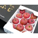 [山形産] 樹上　完熟　サンふじりんご　11個入り　　送料無料！