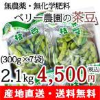 新潟県産 朝獲り茶豆 2.1kg（300g×7袋） ベリー農園  8月中旬頃〜9月中旬頃まで
