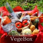 野菜セット 野菜のギフト VegeBox[ベジボックス] 九州畑の贈り物♪九州産の新鮮野菜を贈り物に