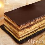 人気 クリスマスケーキ2011 予約 チョコレートケーキ 黄金のオペラ