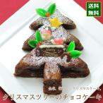 クリスマスケーキ 2014 予約 人気 クリスマスツリーのチョコケーキ 20cm プーテゥジュール 広島