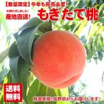 【送料無料】お中元 ギフト フルーツ 果物 もも 長野県産もぎたて桃 約2kg【産地直送】