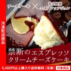 チーズケーキ 禁断のエスプレッソクリームチーズケーキ lf