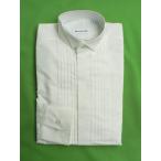 ウイングカラーピンタックドレスシャツ　白5L
