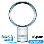 dyson AM01N-30-WS