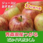青森県産のリンゴ ３Ｋｇ （つがる）