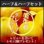 グレープフルーツと美生柑のハーフ＆ハーフセット　３ｋｇ箱(グレープフルーツ５個、美生柑３〜４個)