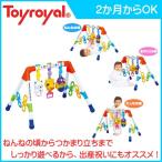 3805 メロディFunFunジム ローヤル toyroyal おもちゃ toys ギフト gift プレイジム メロディファンファンジム 出産祝い 誕生日プレゼント 安全 安心 人気