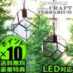 テラリウム型1灯 ペンダントライト ≪スクエア≫ LAMP by CRAFT TERRARIUM