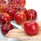 りんご「アルプス乙女」15cmポット苗