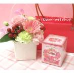【送料無料】【母の日ギフト】季節のお花のミニミルクBOXアレンジメント(ピンク系)（生花）＆『生活の木』おいしいハーブティー・ローズブーケFL-WD-106