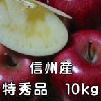 サンふじりんご 送料無料 特秀品 信州産10kg(24玉～36玉）長野サンふじりんごは美味しいよ♪お歳暮 人気!【長野 りんご・信州りんご】