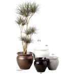 鉢カバー・観葉植物・10号鉢用渋めのブラウンが人気です。鉢カバー 陶器 ・ジュネスJ-5