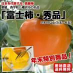 愛媛産 富士柿（ご家庭用） 2キロ以上(5玉～6玉）