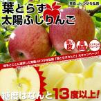 【送料込み】青森JAつがる弘前 糖度13度以上「葉とらず太陽ふじりんご」約3キロ（9玉?13玉）×2箱　りんご　リンゴ　林檎