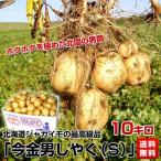 【送料無料】 北海道ジャガイモの最高級品 「今金男しやく（S）」10キロ⇒1,980円