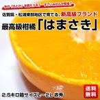 佐賀県産 最高級柑橘「はまさき」2.5キロ箱 L～2L 赤秀