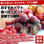 【送料無料！】　超レア品　高糖度トマト・6種　食べ比べセット⇒3,500円