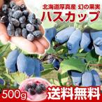 北海道厚真産幻の果実ハスカップ　500ｇ※冷凍