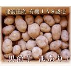【北海道産】有機JAS認定◆無農薬栽培いも 男爵芋 Sサイズ 10kg(一心生産組合)◆《産地直送・送料無料》
