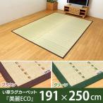 福岡県認証農産物 掛川織 い草ラグカーペット 美麗ECO 全2色 約191×250cm イケヒコ