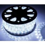 LEDチューブライト（ロープライト） ホワイト 白 2芯タイプ 100m 直径10mm 3000球 一ヶ月保証