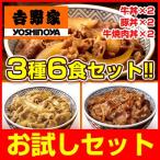 吉野家 牛丼 3種6食セット