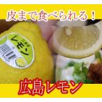 国産の広島レモン1個（ばら売り）レモン塩にもどうぞ（２７個以上で送料無料）
